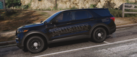 2025 BCSO PIU