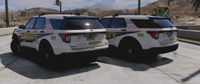 2025 BCSO PIU