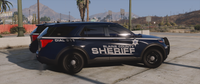 Federal Signal BCSO Mini-Fleet